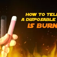 How to Tell if a Disposable Vape Is Burnt