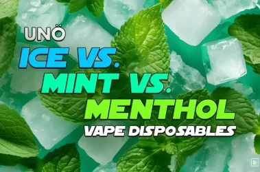 Ice vs. Mint vs. Menthol Vape Disposables
